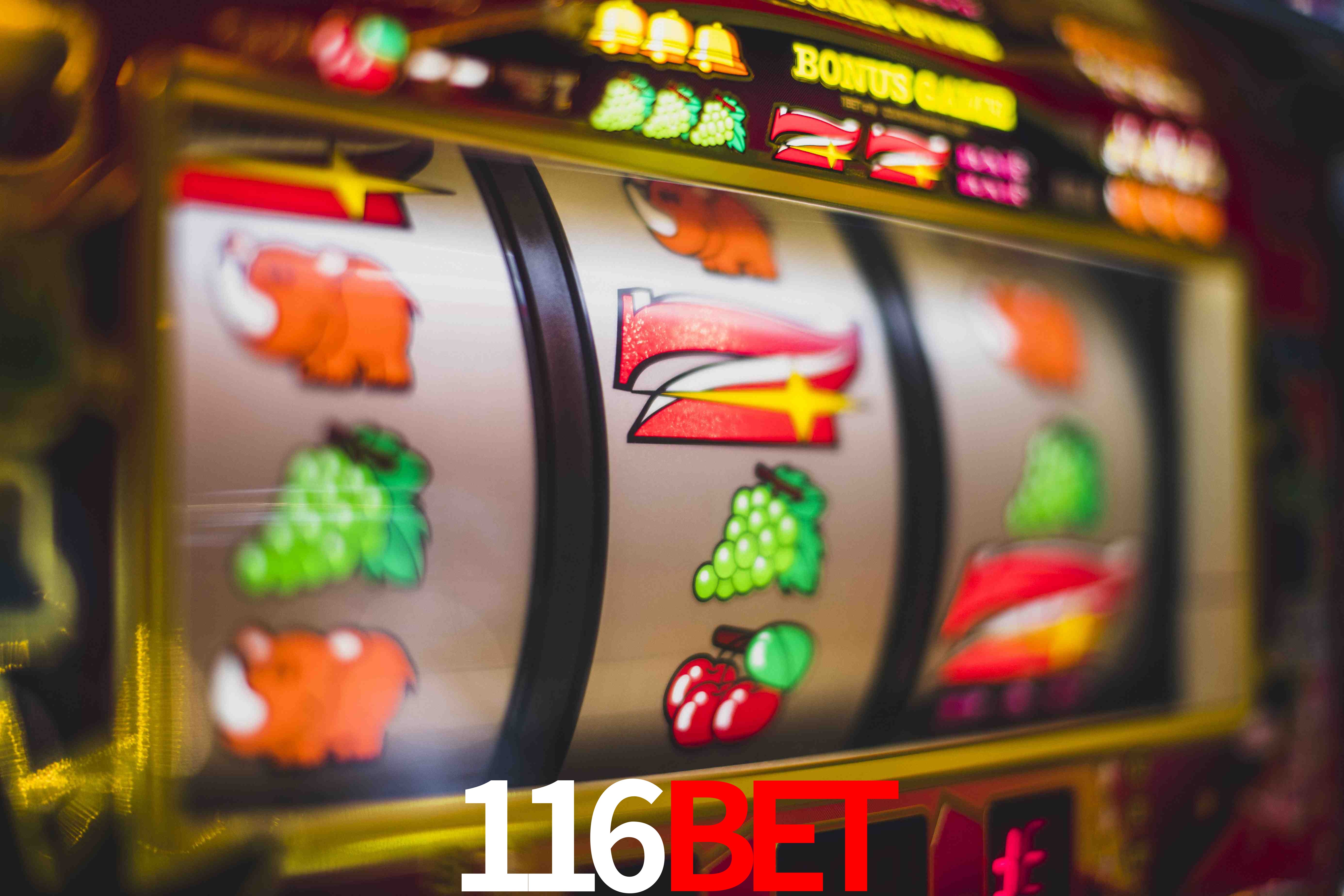 Tennis Betting 116bet